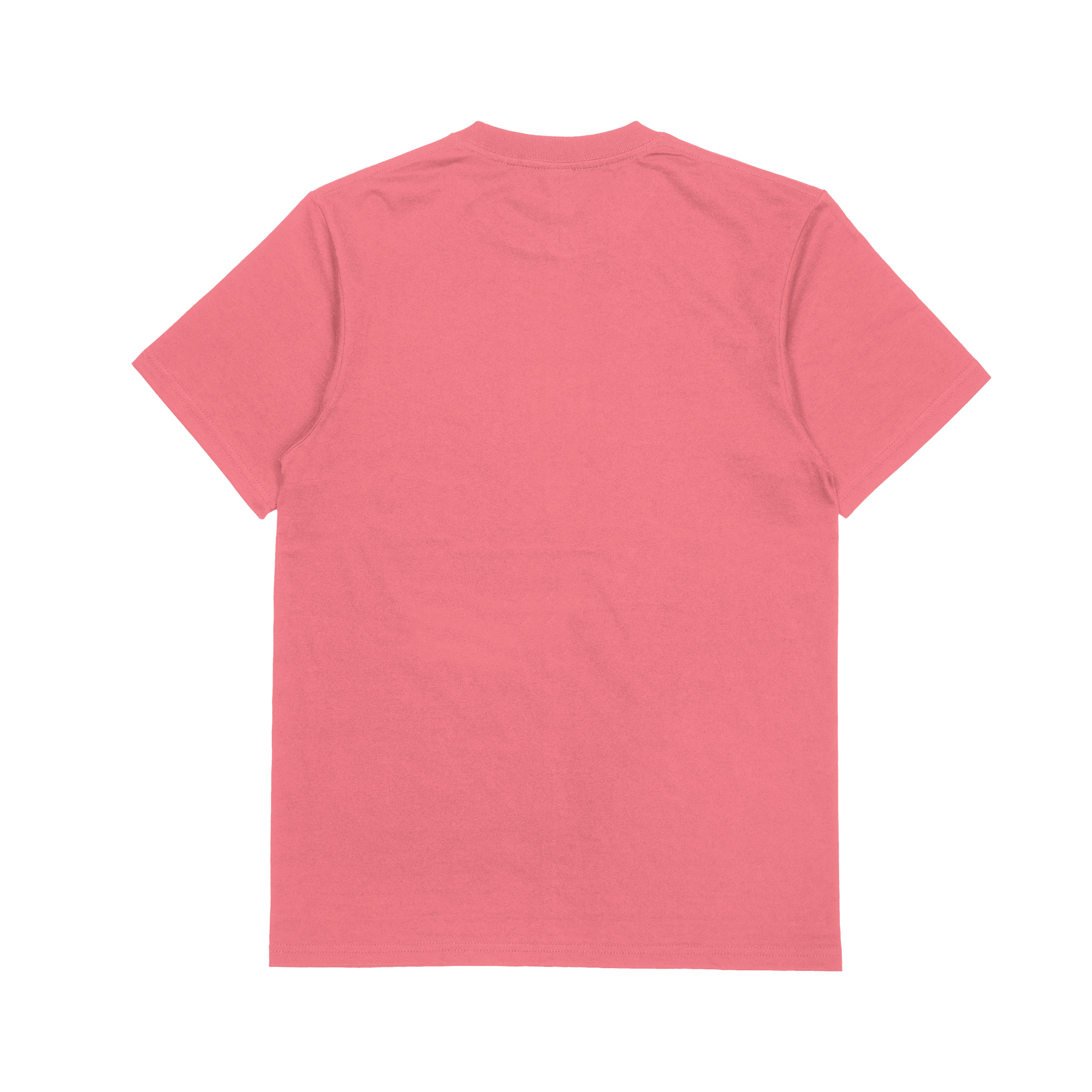 "Watermelon" Vibin' Apparel T-Shirt